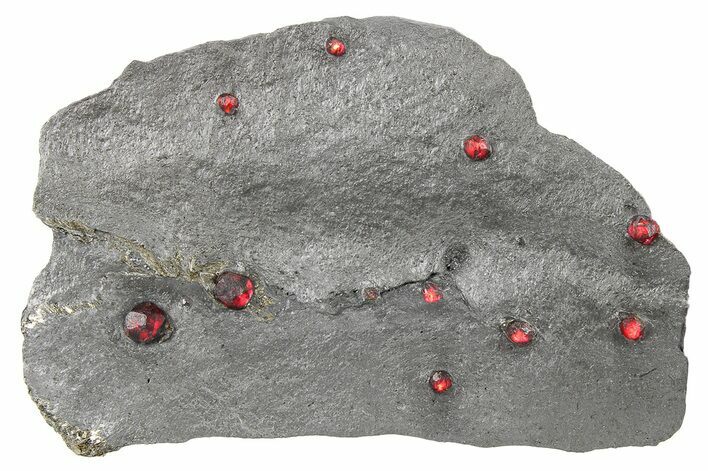 Plate of Ten Red Embers Garnets in Graphite - Massachusetts #272717